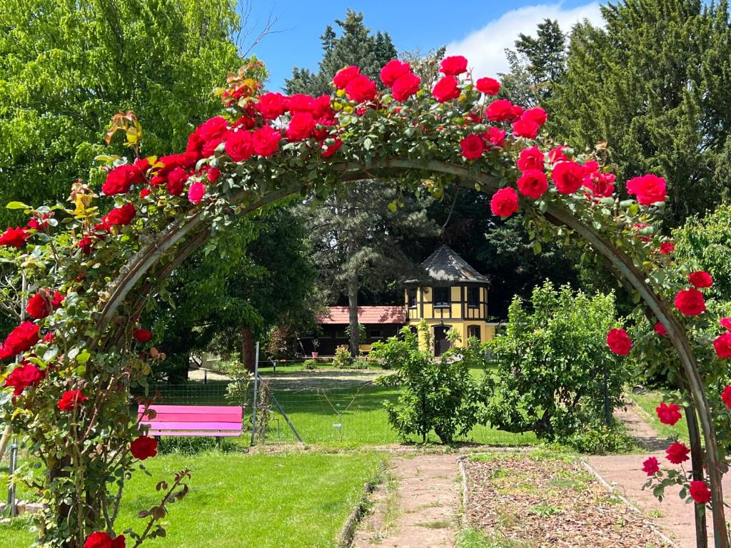 Le Parc du Séquoia & SPA proche Colmar et Riquewihr