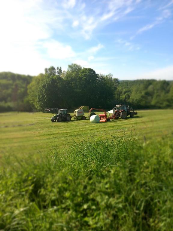 le repos du voyageur