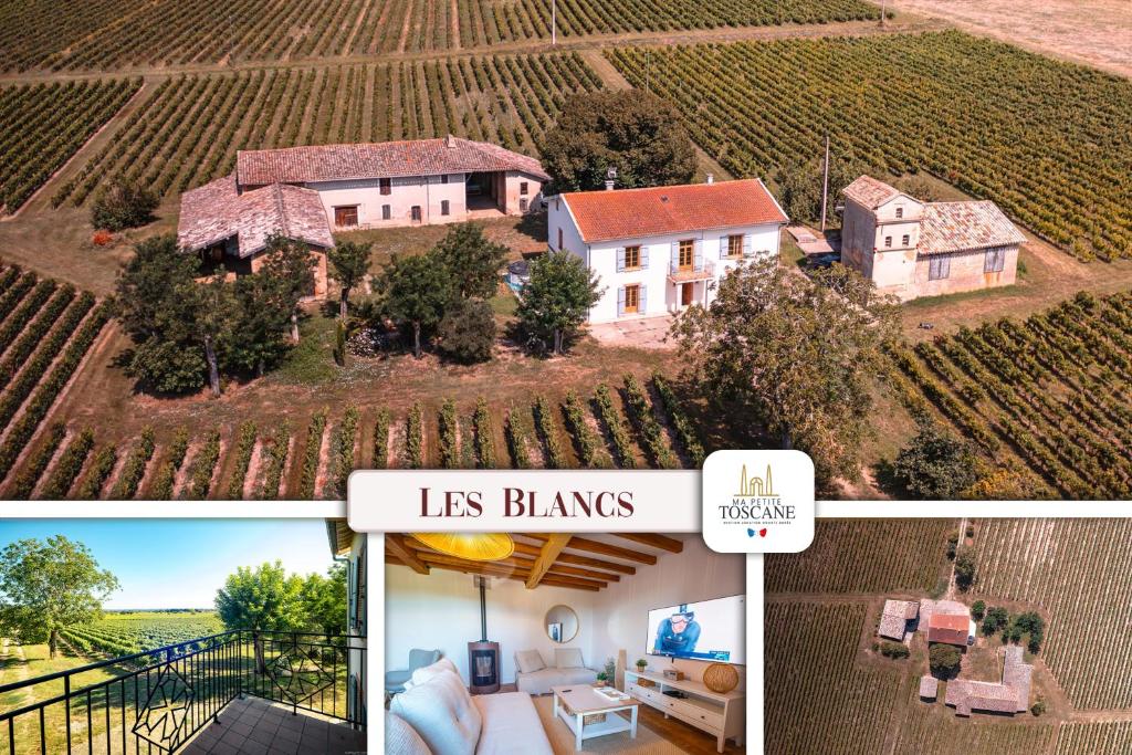 Les Blancs - Au coeur des vignes - Piscine