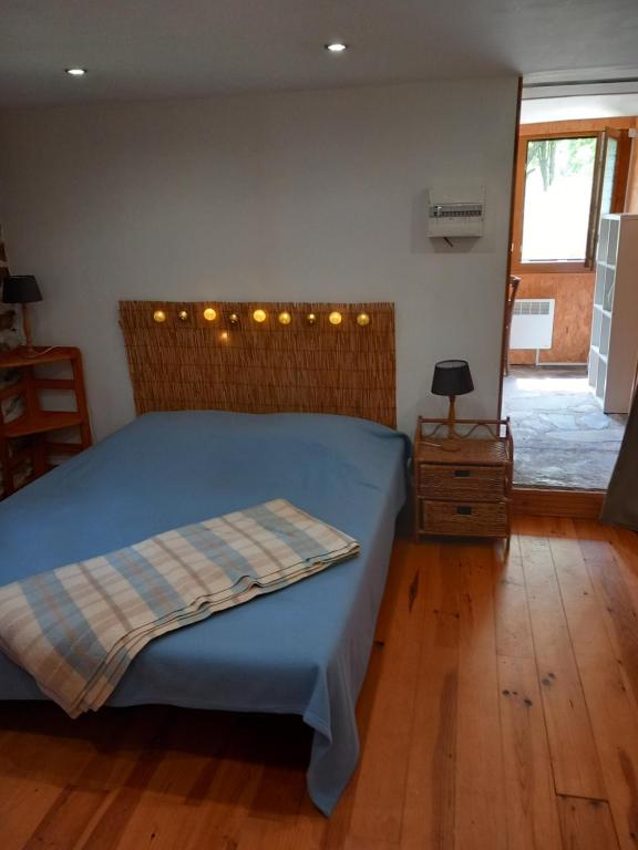 les cèdres bleus de Joany