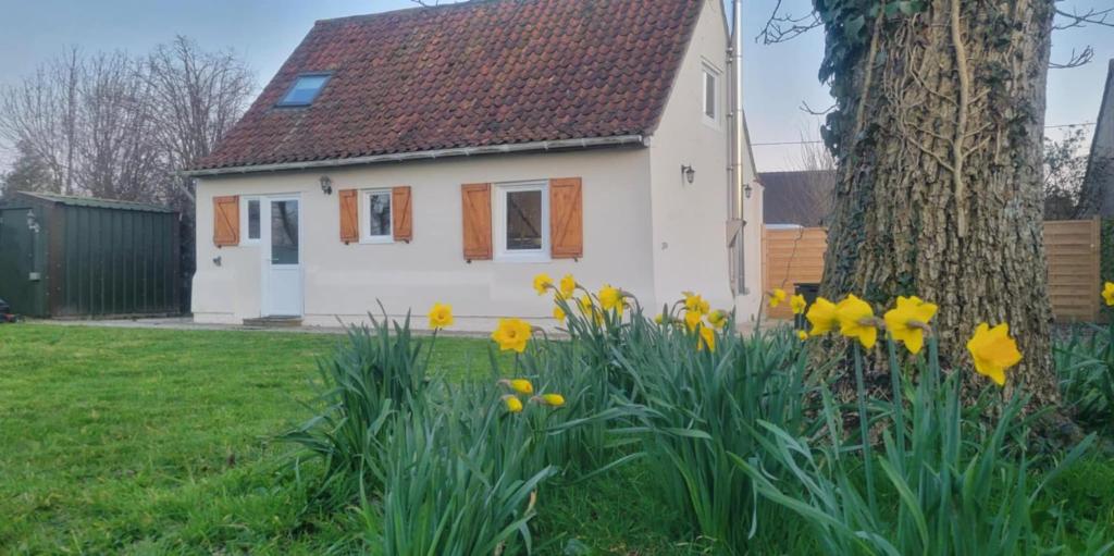 Little House