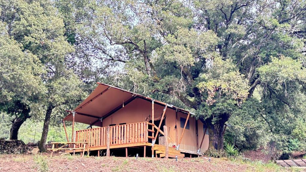 Lodge A NASSA