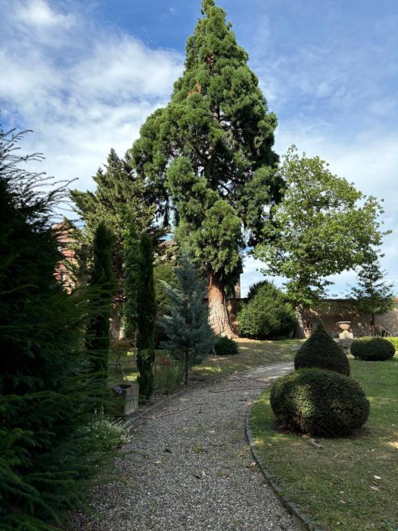 Proche Colmar - Loft dans un ancient couvent du XVIIème siècle