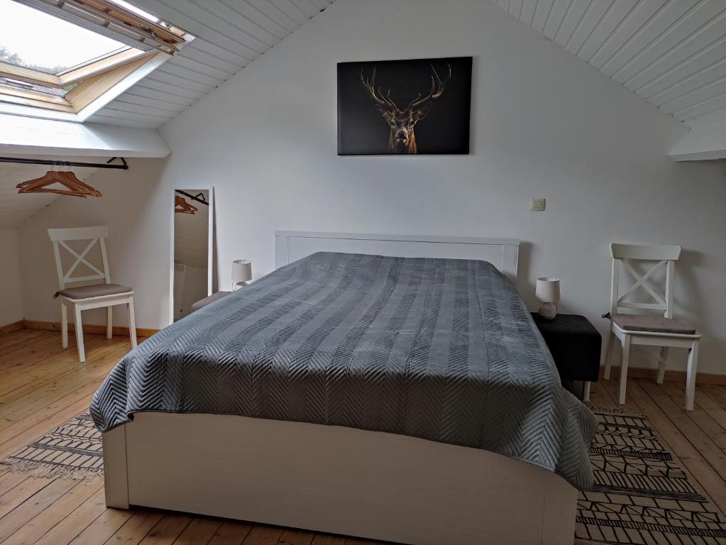 Logies l'Epicerie de Durbuy appartement