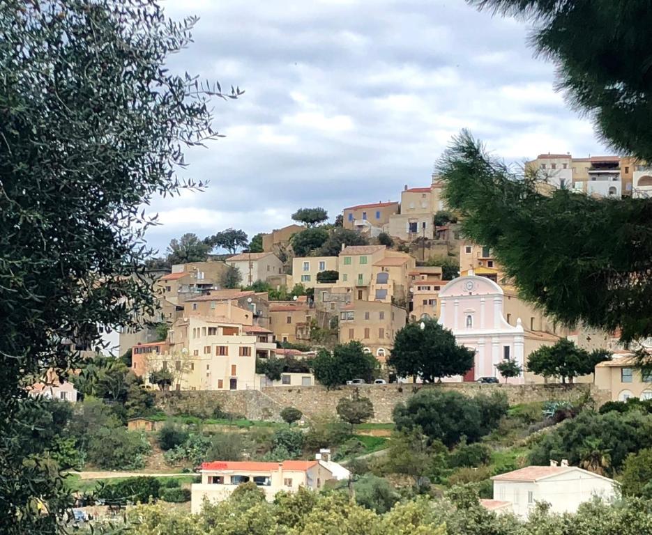CORSE - Lumio, Balagne petite maison loft, vue imprenable sur le Golfe de Calvi