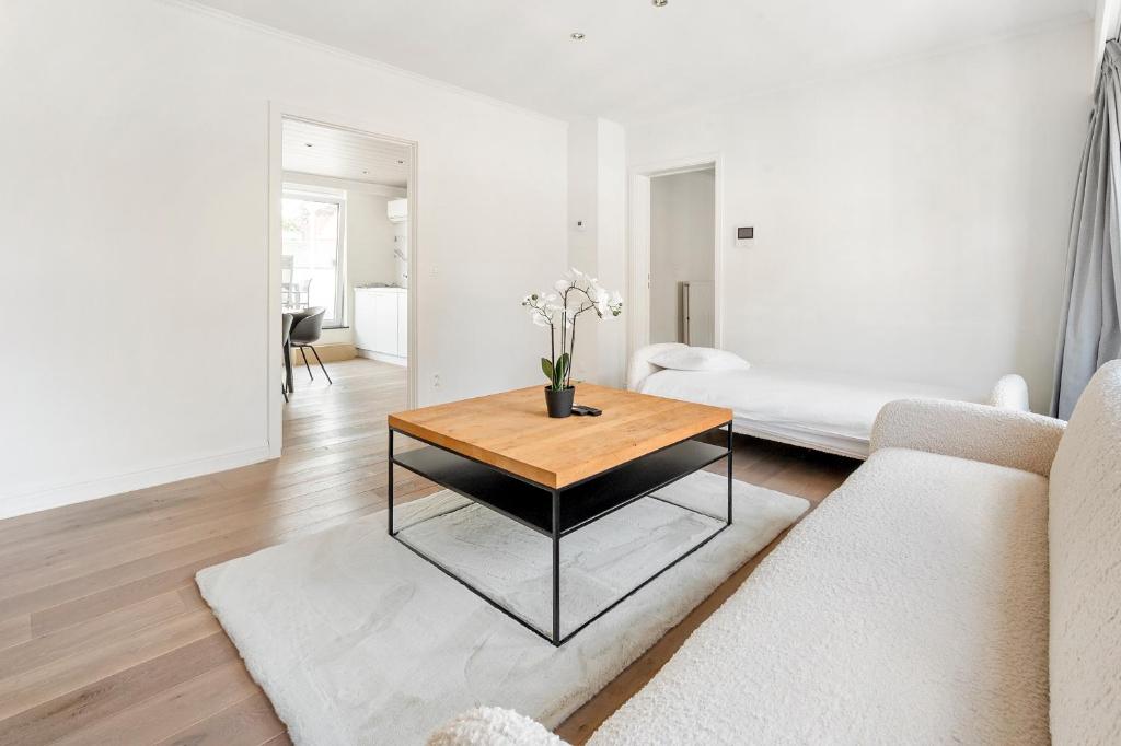Luxury apartment x big terrace