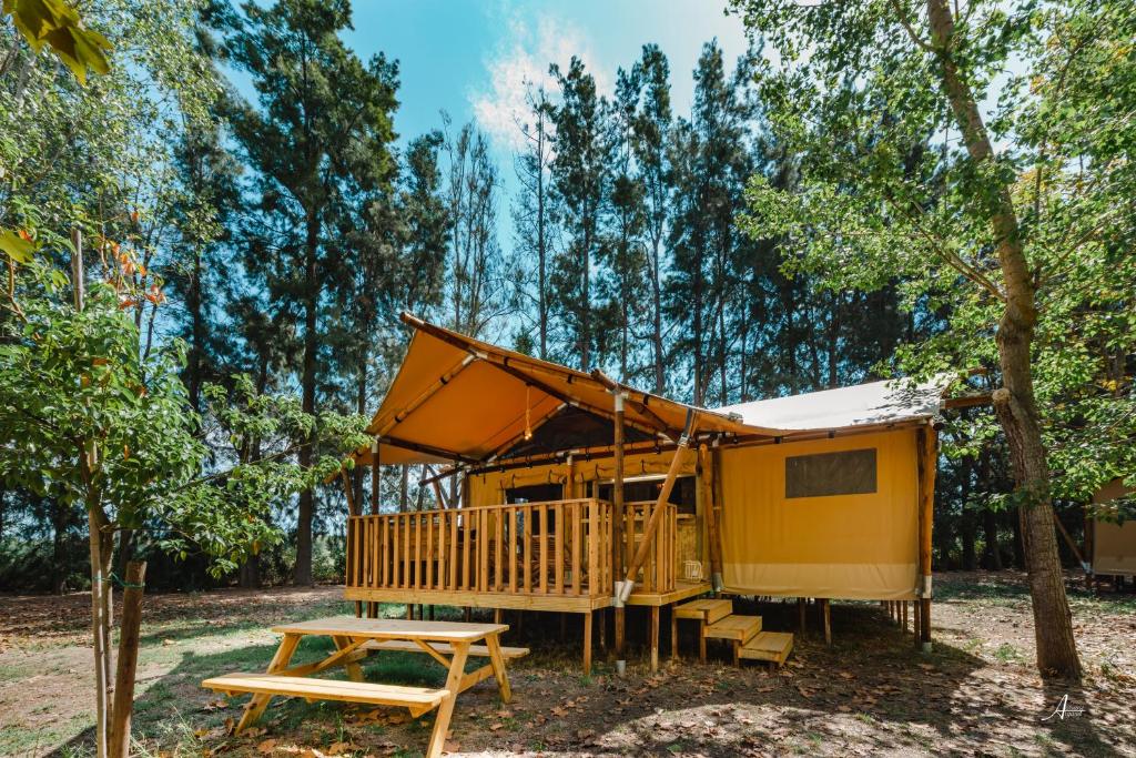Luxury Lodge