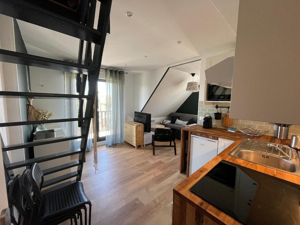 Magnifique appartement avec mezzanine prés Thalasso