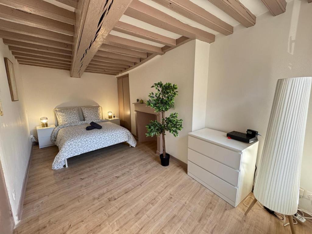 Maison 2ch - Netflix - Fléchettes - Hyper centre