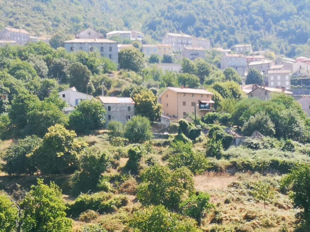 Maison de village avec jardin privatif