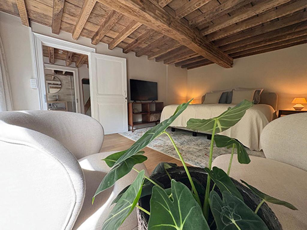 Maison Martin 7