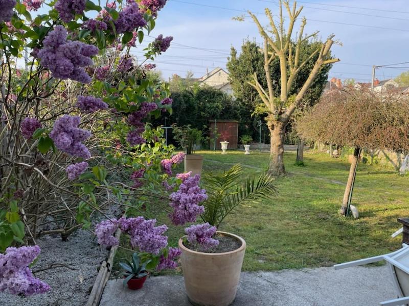 Maison Mimosa