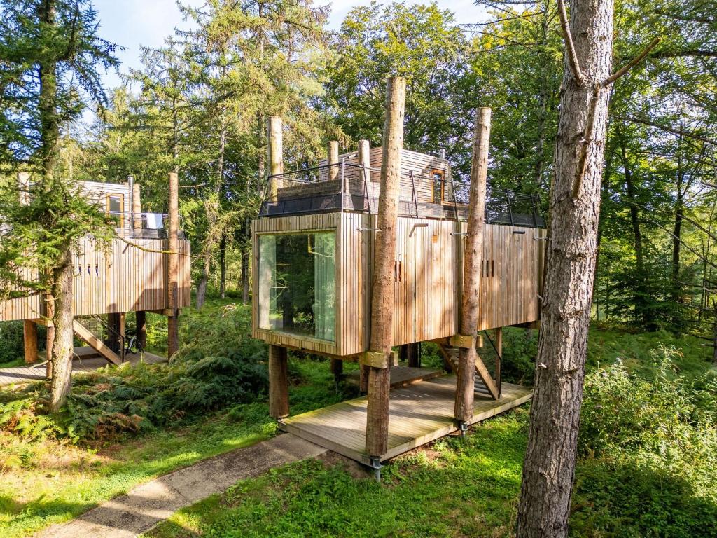Modern Escape in Nature