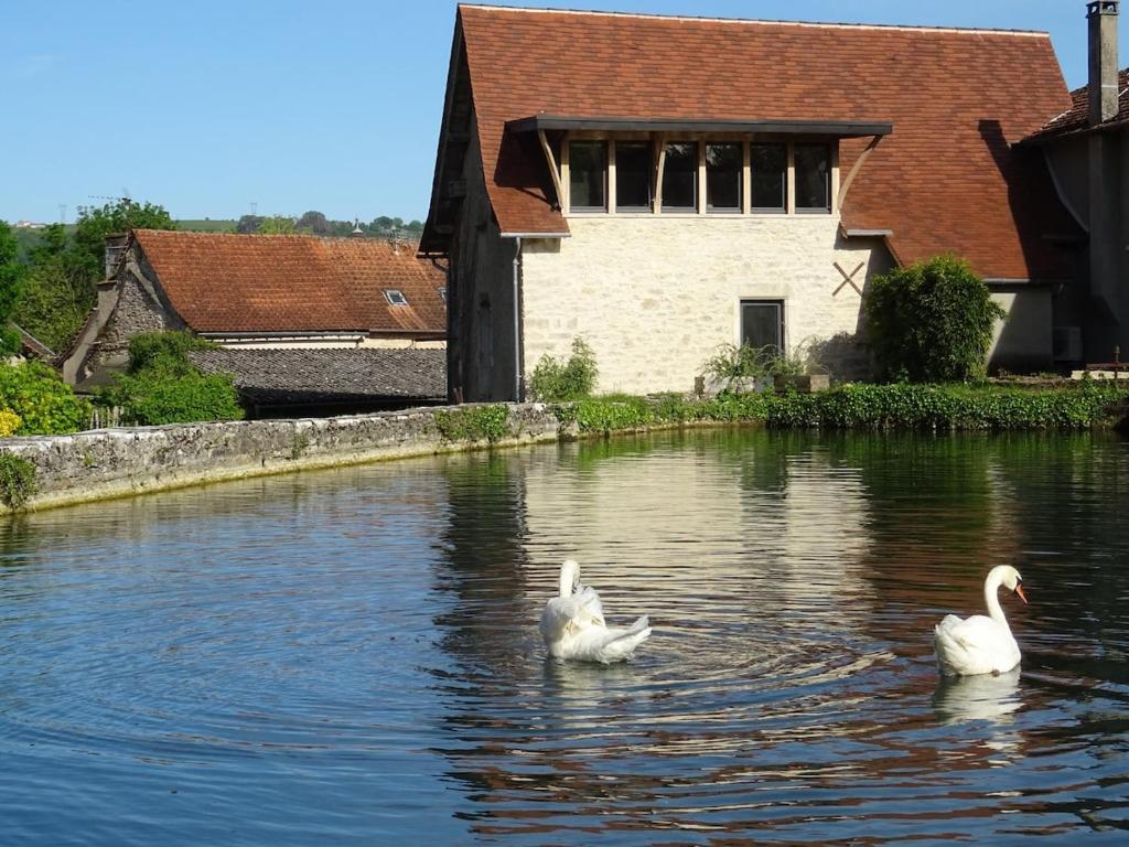 moulin de vasiliere