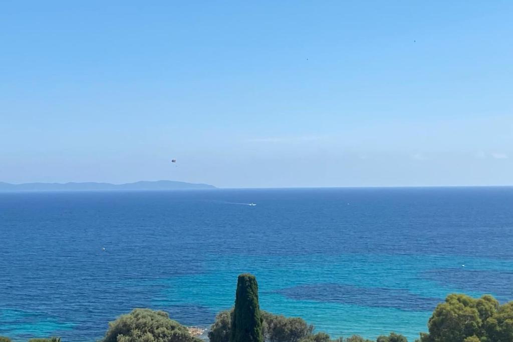 Nice And Bright 60 M With Terrace View On The Sea