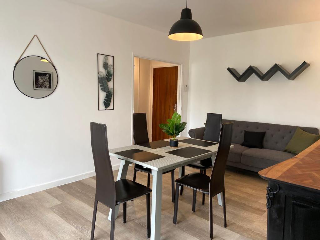 1 Espalion superbe appartement hyper centre ville