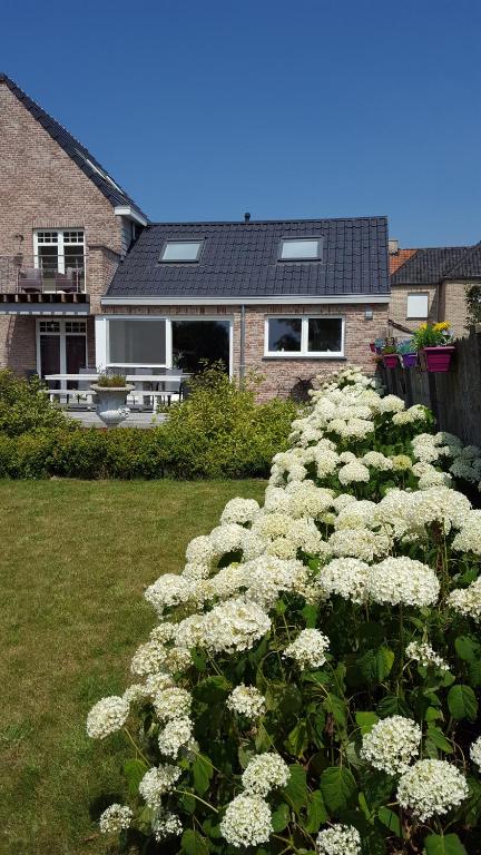 Luppolo vakantiehuis Westhoek