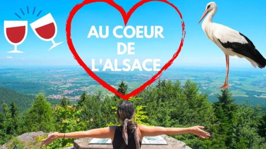 Plaisirs d'Alsace - Munster - Colmar - Route du vin