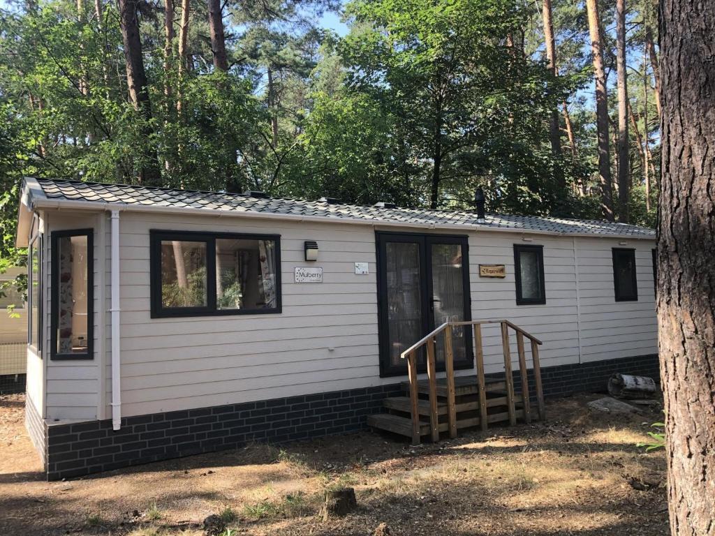 Chalet near Antwerp with Nature Trails
