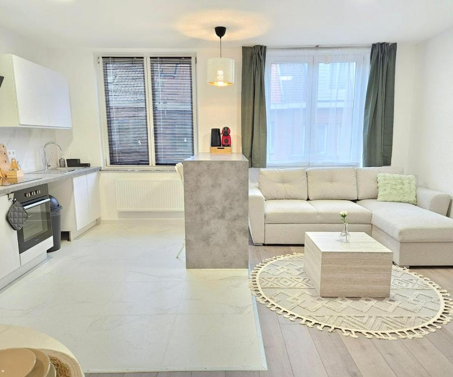 Brussels apartment with terrace 2