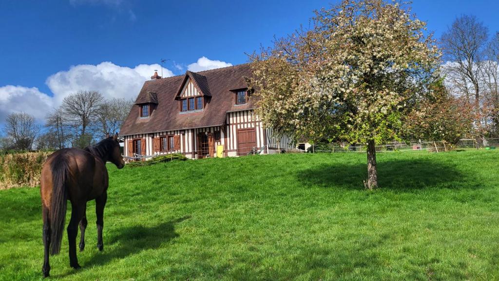 Relais équestre du Miloir - chambres d'hôtes