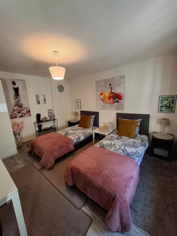 Room in SPA " TABARKA "