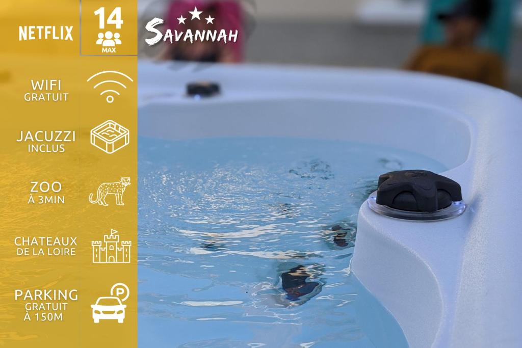 ''Le Savannah'' - Jacuzzi - A 3min du Zoo de Beauval