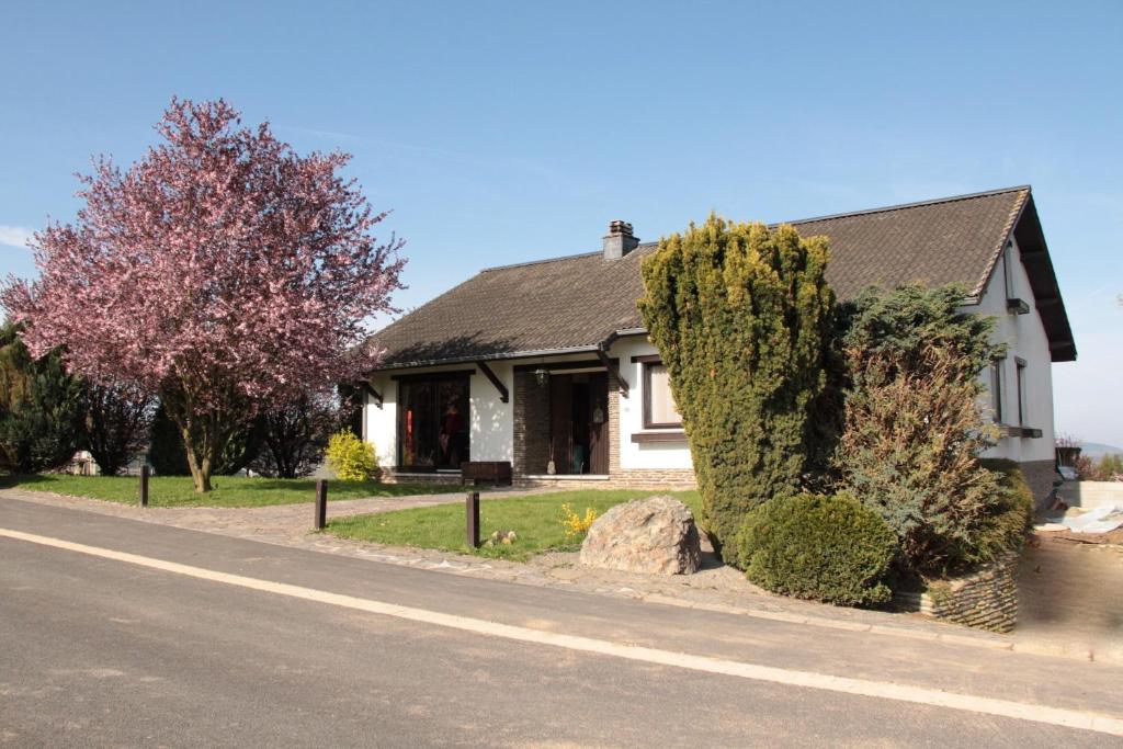 B&B Sol Magnus