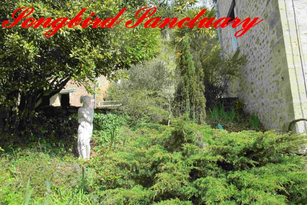 Songbird Sanctuary