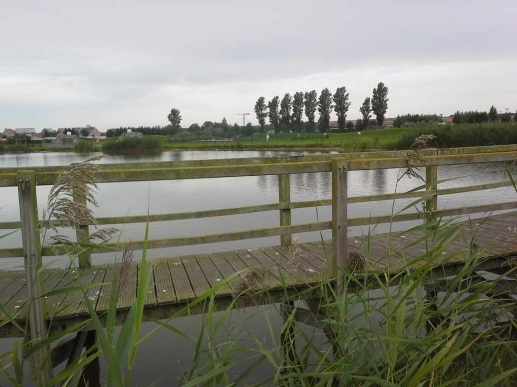Stacaravan 4pers in Bredene met eigen tuintje 2449
