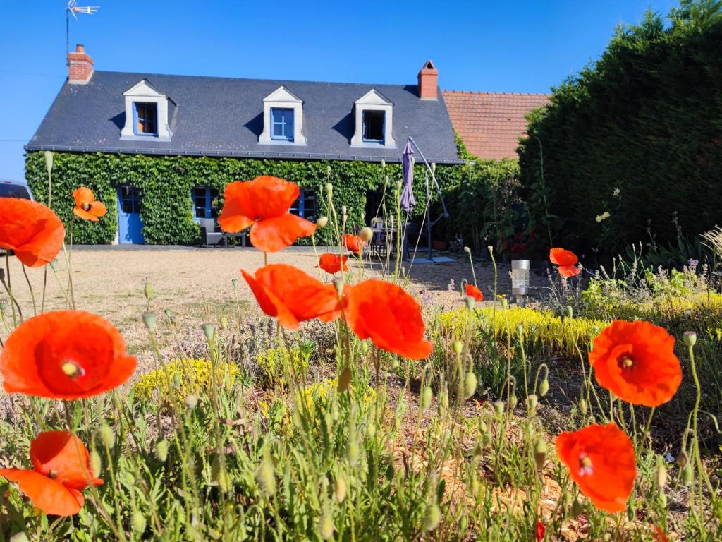 Le petit pré écolo