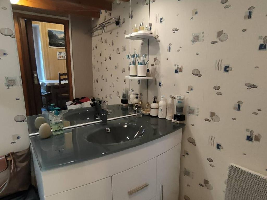 Studio central 4 pers, wifi, proche commerces - FR-1-234-336