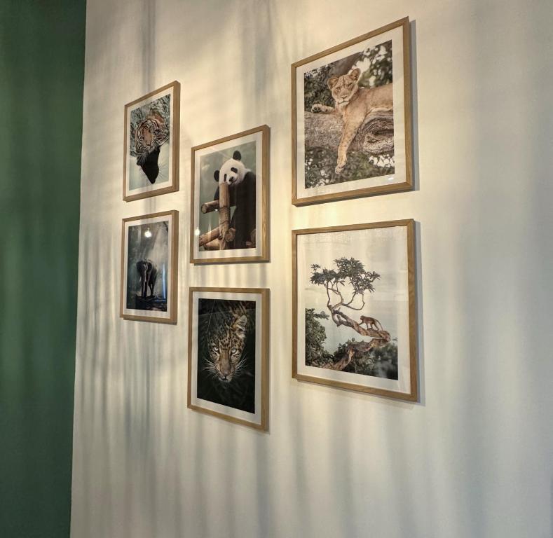 Studio Savane, 6 min du Zoo