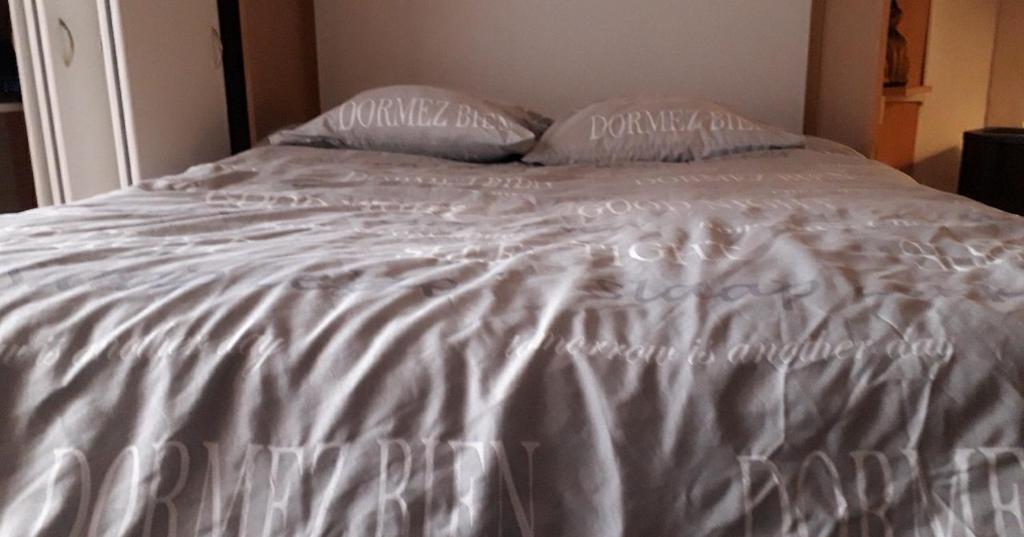 Studio spacieux 50 m2 pour 2+2 tout confort