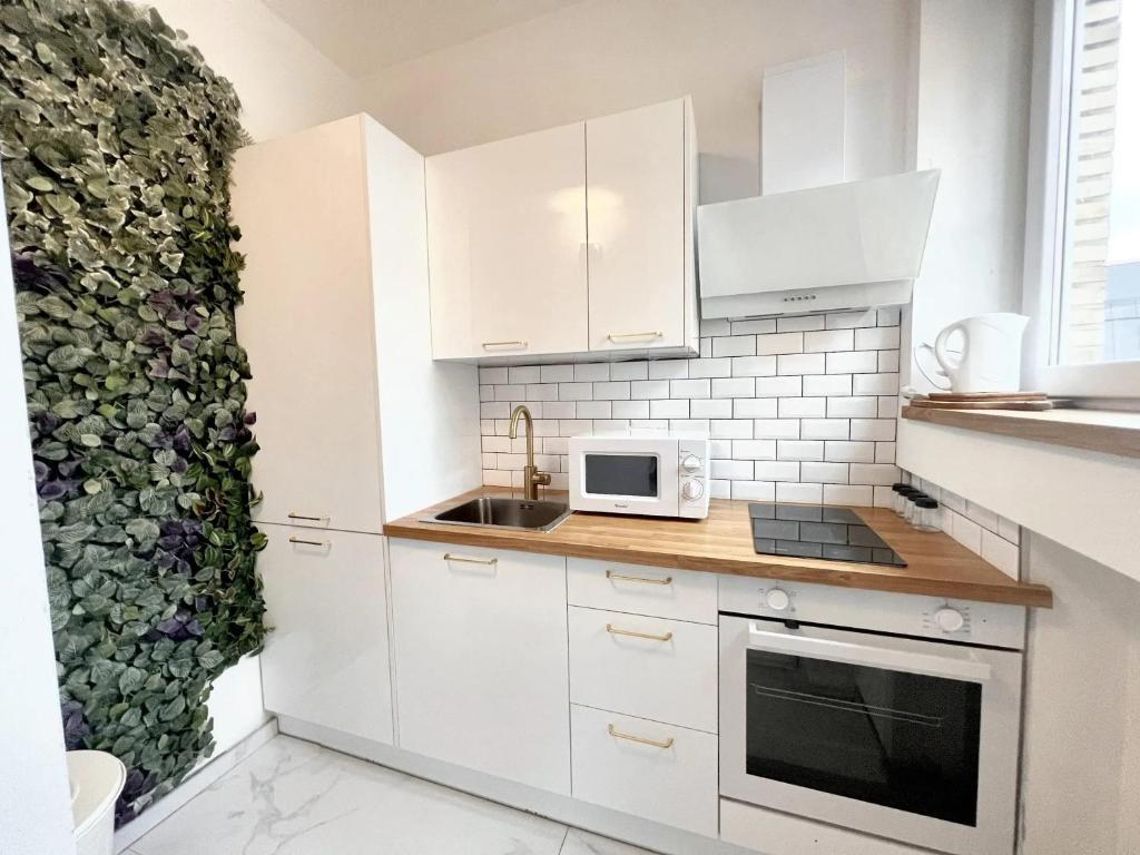 Comfortable Studio in Brussels - 35m² - Terrace with BBQ