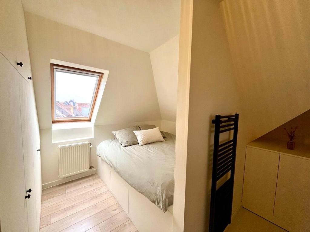 Stylish downtown loft and opposite park