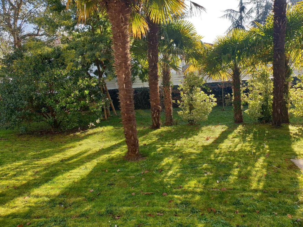 Le Rocher de Bel Air -40m2 -Chaleureux 3 étoiles
