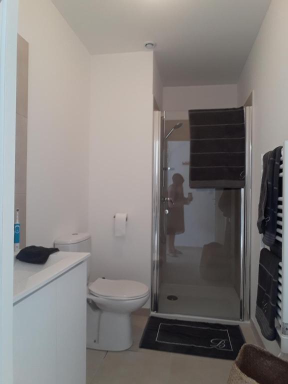 T2 VUE MER MARINA DI BRAVONE N197