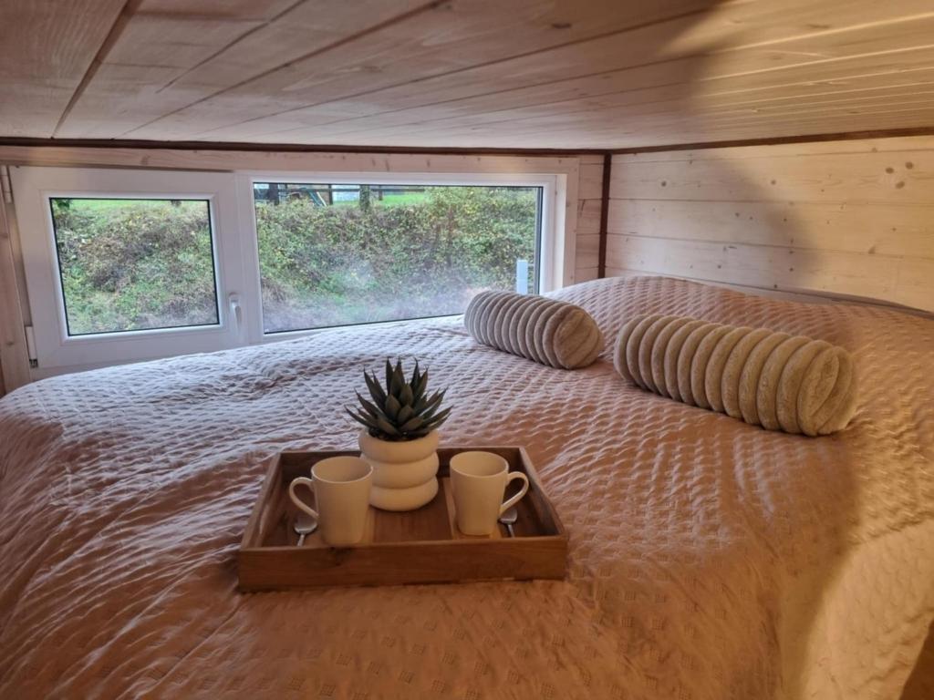 Tiny housse serenity avec jacuzzi