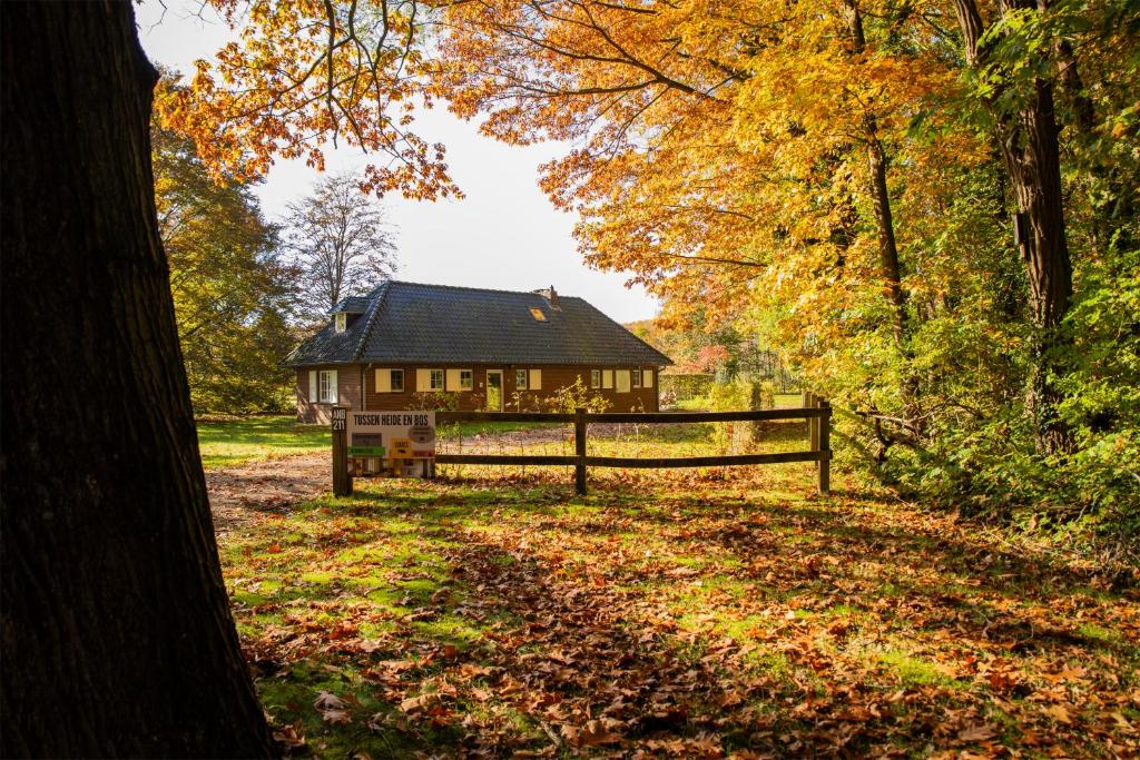 Tussen Heide en Bos vlakbij Sentower Park
