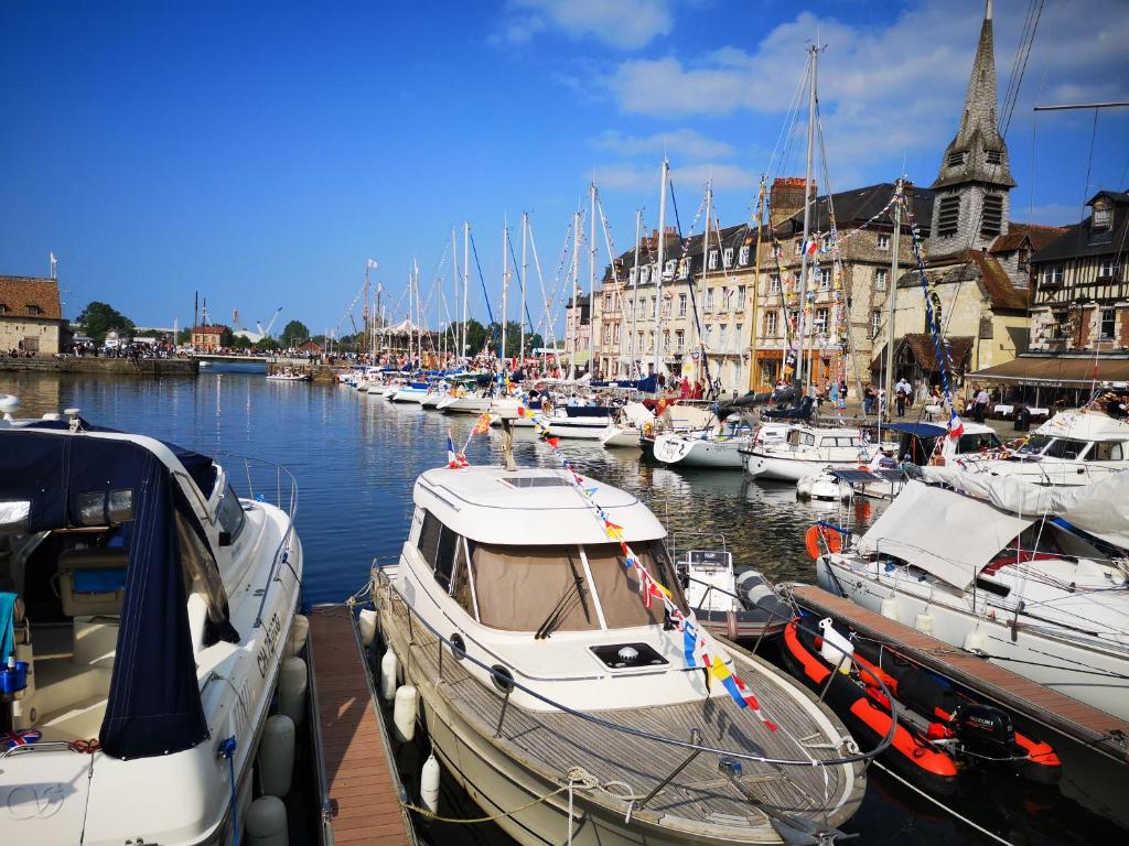 Un Parfum D'embruns Hypercentre Honfleur, fibre