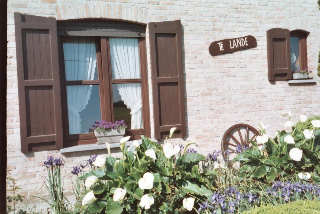 Vakantiehuis " Te Lande "