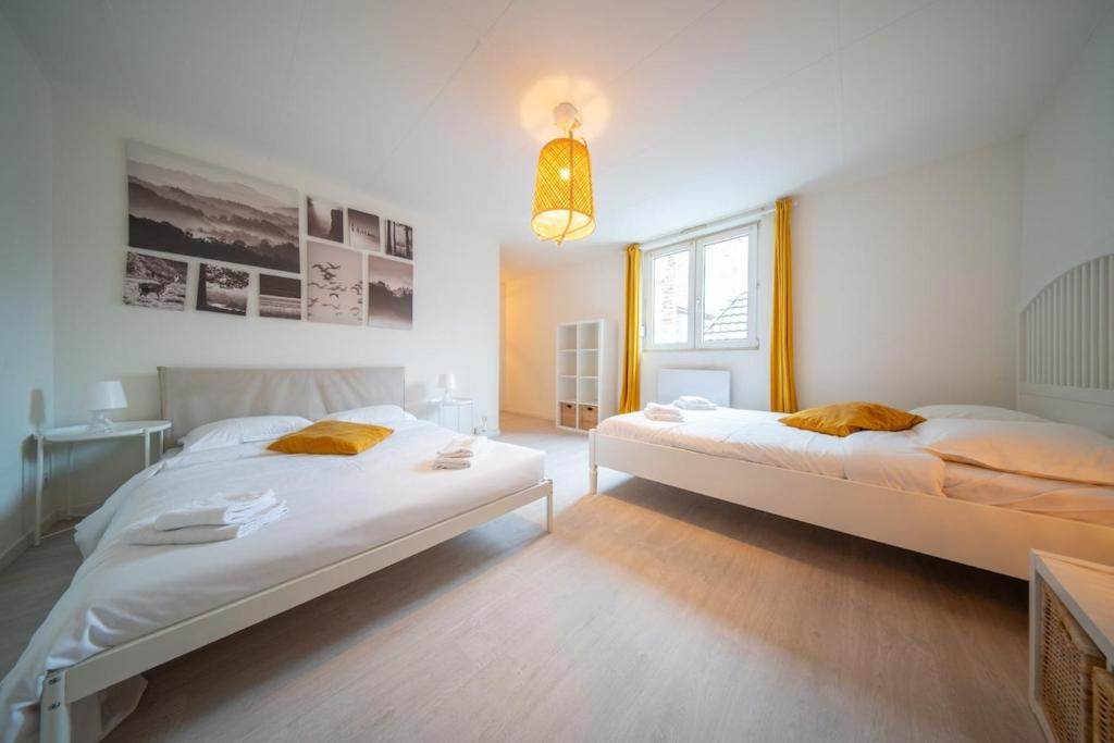 Very nice apartment - downtown Mulhouse Le 42