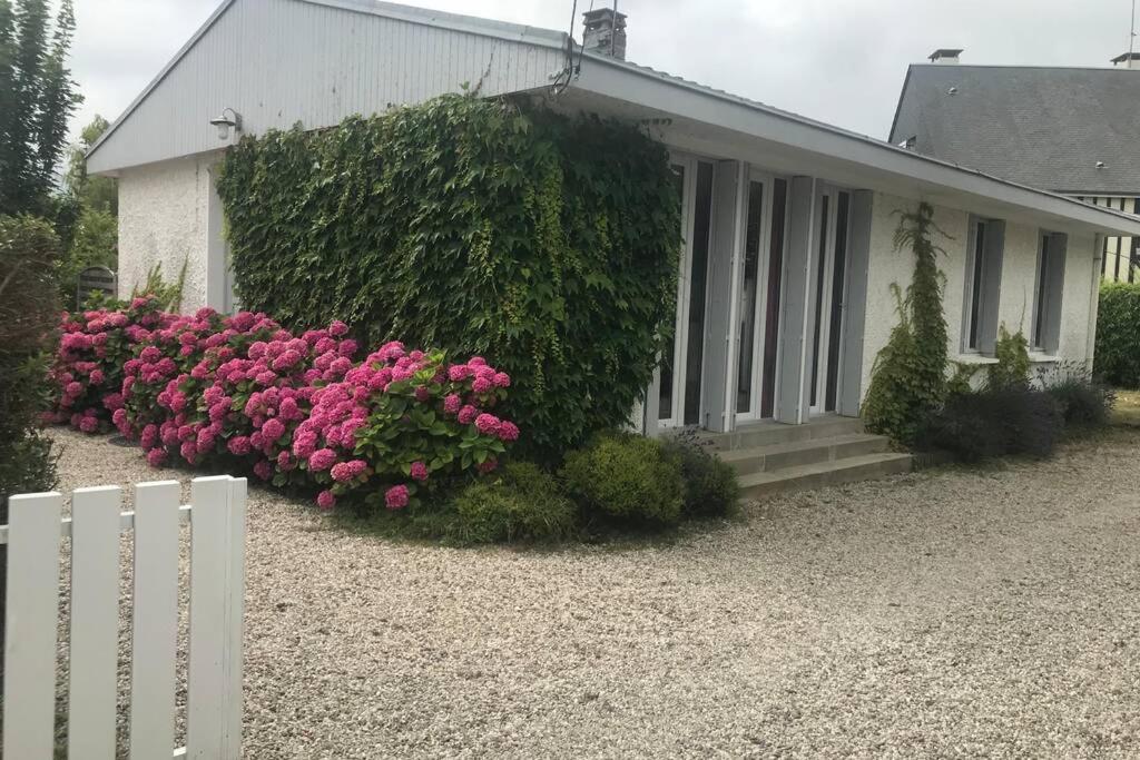 Villa Rosa