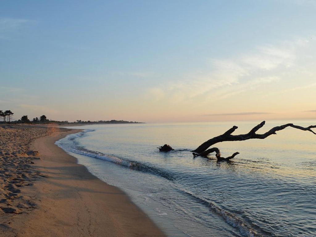 Village Del Mar