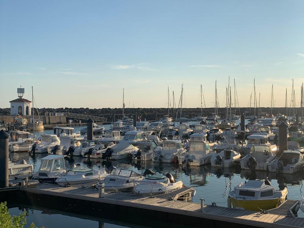 Vue mer, superbe appartement refait à neuf!