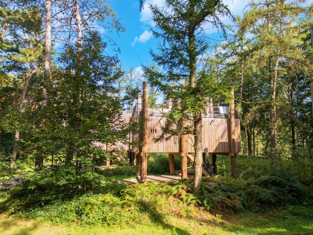 Award-Winning Forest Stay